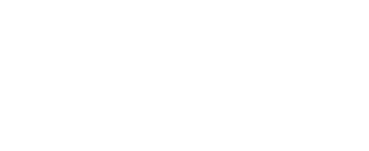 LITE Apparel logo
